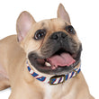 Load image into Gallery viewer, Buffalo Zubaz Dog Collar