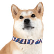 Load image into Gallery viewer, Buffalo Zubaz Dog Collar