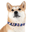 Load image into Gallery viewer, Buffalo Zubaz Dog Collar