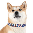 Load image into Gallery viewer, Buffalo Zubaz Dog Collar