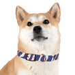 Load image into Gallery viewer, Buffalo Zubaz Dog Collar