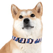 Load image into Gallery viewer, Buffalo Zubaz Dog Collar