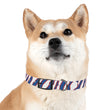 Load image into Gallery viewer, Buffalo Zubaz Dog Collar