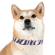 Load image into Gallery viewer, Buffalo Zubaz Dog Collar