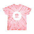 Load image into Gallery viewer, Recess Tie-Dye Tee, Cyclone