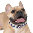 Load image into Gallery viewer, Buffalo Zubaz Dog Collar