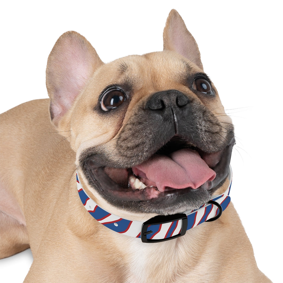 Buffalo Zubaz Dog Collar – Super Average Apparel