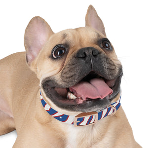 Zubaz Inspired Buffalo Bills Dog Collar